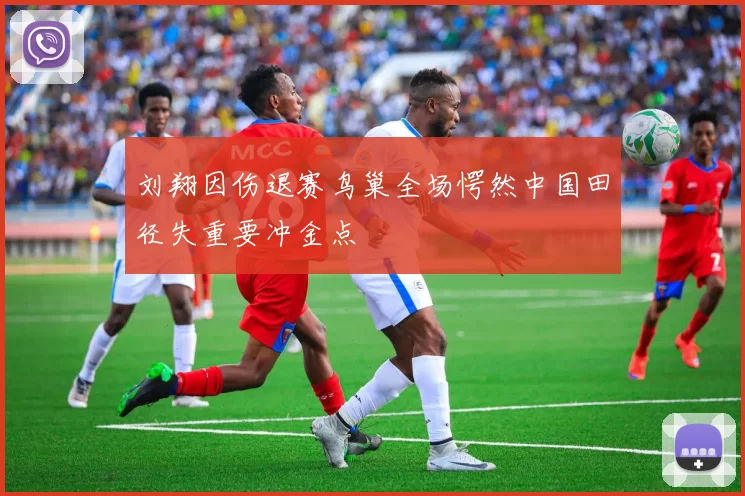 刘翔因伤退赛鸟巢全场愕然中国田径失重要冲金点
